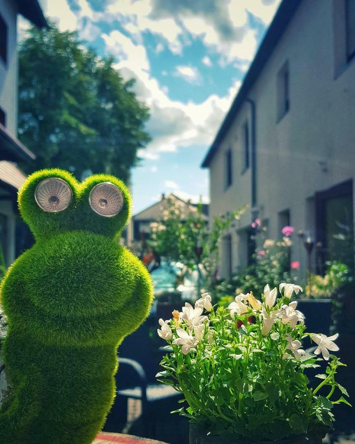 Hotel Zum Löwen Mörfelden-Walldorf Buitenkant foto